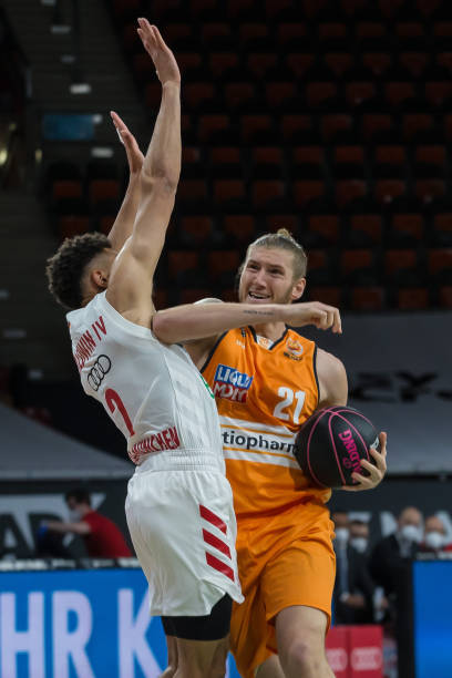 中带领雄鹿 中带领雄鹿